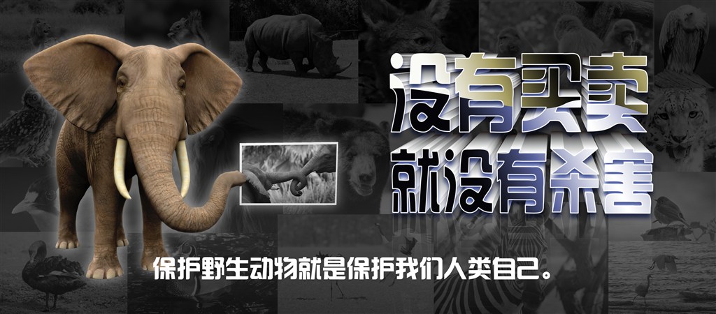 人生就是博·(中国) - 官方网站
