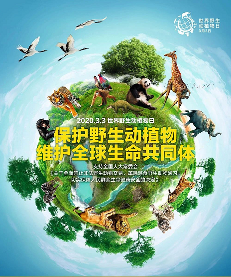 人生就是博·(中国) - 官方网站